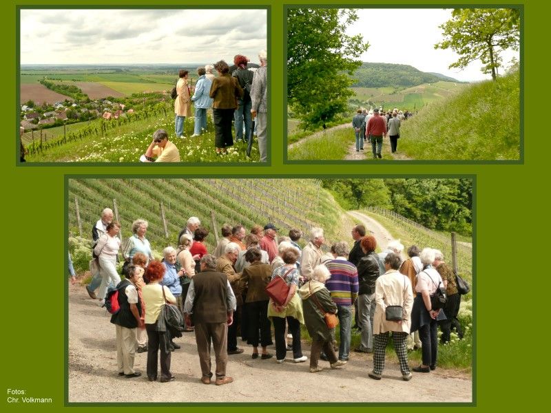 GRuppenbilder 2 GRuppenbilder 2